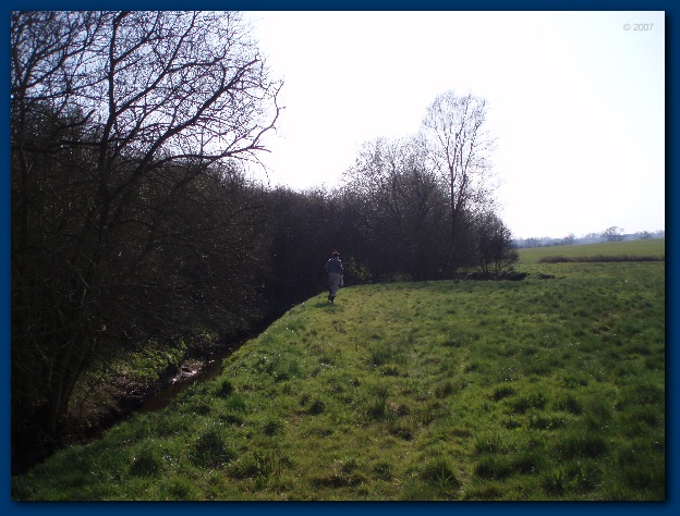 600x449 pixels (133K)